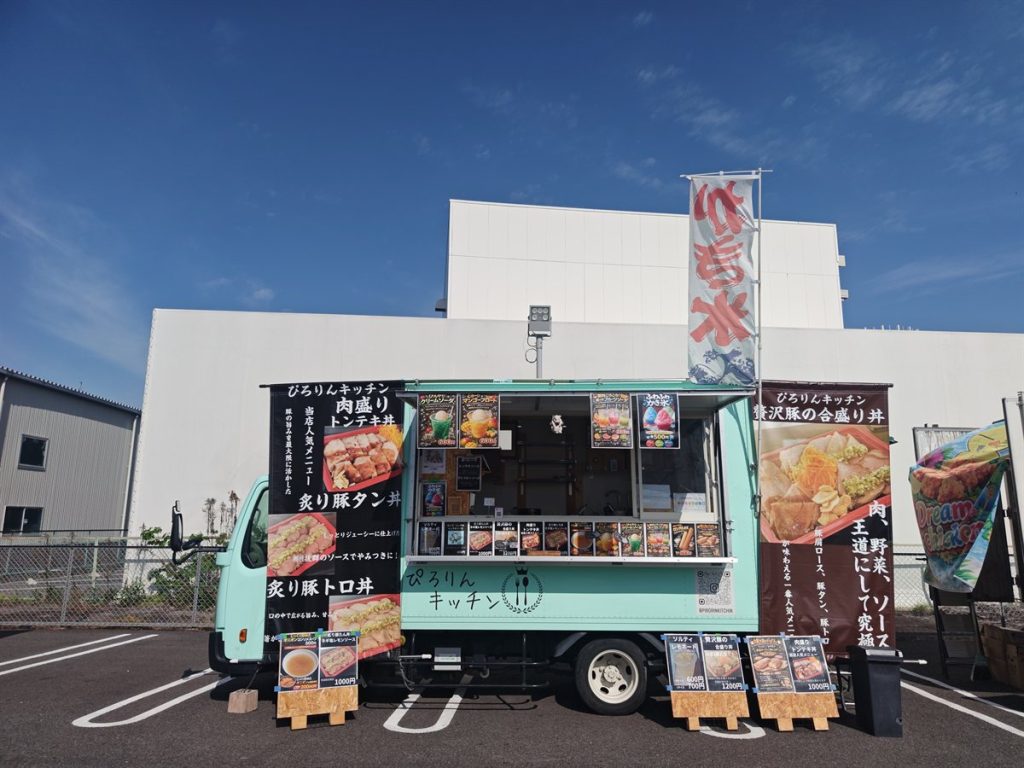 肉盛りトンテキ丼。ボリューム満点、彩り豊かな一皿。フライドガーリックのアクセント