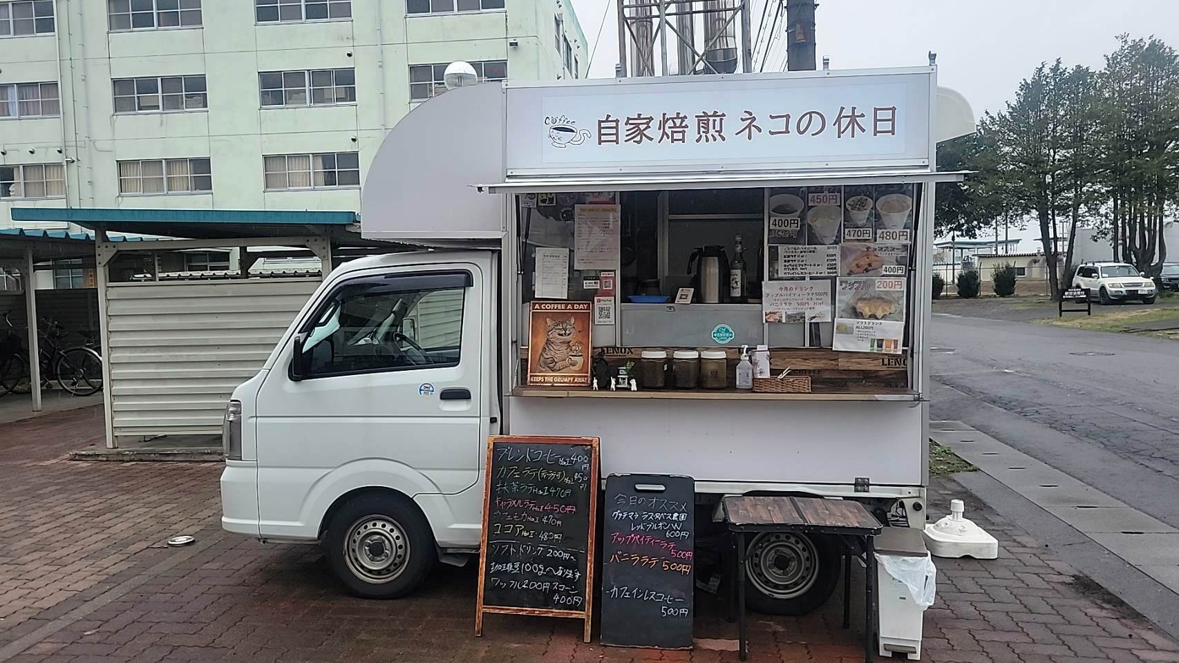 ネコの休日
